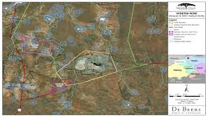 Image result for Agelanthus sambesiacus