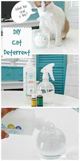 Diy Cat Deterrent Stop Furniture Scratching And Urinating On Carpet Cat Deterrent Cat Diy Cat Deterrent Spray