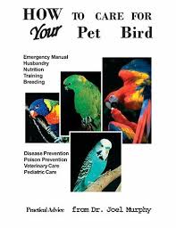 How To Care For Your Pet Bird Parrot Pet Pet Bird Your Pet