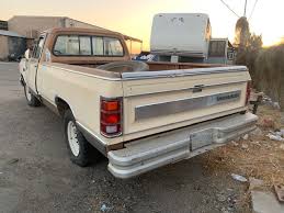 Image result for Desert Bronze 1985 Dodge