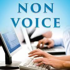 Non Voice Jobs In Chennai Multizone Manpower Solution The Voice Good Communication Skills Job Roles