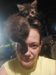 Tortoise Shell Cat Owner's Society and Social Club