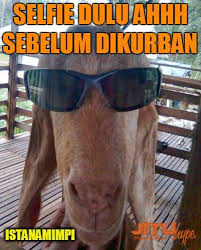 Kurban cinta idul adha lucu. 92 Ide Qurban Hiasan Ornamen Mobil Bmw Kehendak Allah