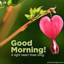 Cute And Decent Good Morning Hearts Images Good Morning Texts Good Morning Love Good Morning Friday Images