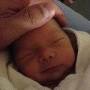 Profile Picture of Obituary of Baby Tessa Bean | Garden Hill Cremation & Funeral Serviceson Google