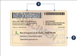 Business owners say finding the right health insurance is one of the most challenging tasks of running their. Using Your Health Insurance Card Regie De L Assurance Maladie Du Quebec Ramq