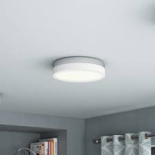 Low Profile Flush Mount Light Wayfair