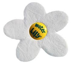 Nettoyant Spa Water Lily Absorbant Specifique Des Residus Gras Nettoyant Spa Piscine Et Jardin