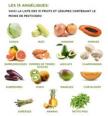 Alimentation Bio Les 15 Angeliques Fruits Et Legumes Conseils Nutritionnels Alimentation Et Sante
