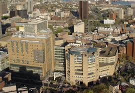 Yale New Haven Hospital Wikipedia
