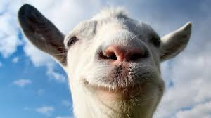 Goat simulator was made by coffee stains studio, heavenly creators of the sanctum franchise, on the unreal physics engine. Goat Simulator Has Generated 10 Million Euros In 2015