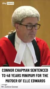 #elleedwards #connorchapman #fypage #foryou #prison #life #lifeinprison  #rotinhell #skynews #jayw1987 #court #judge #sentencing