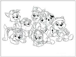 We would like to show you a description here but the site won't allow us. Paw Patrol Ella And Tuck Ausmalbilder Novocom Top
