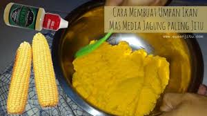 Cara membuat umpan ikan mas yang disukai indukan. Cara Membuat Umpan Ikan Mas Media Jagung Simple Dan Terbukti Jitu Dengan Tambahan Essen Barracuda Dengan Aroma Khas Amis Wangi Yang Makanan Resep Masakan Ikan