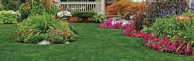 Determine how often to water. When To Plant Grass Seed In Colorado Jonathan Green