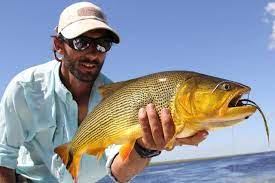 Search For Golden Dorado By Brian Mcgeehan Filson Life Fly Fishing For Beginners Fish Fly Fishing