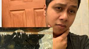 How To Artificially Hatch Betta Eggs Vlog Youtube