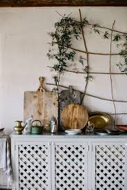 Plante Interieur Vignes D Appartement Tendances En 2020 Decoration Maison Idees De Decor Cuisine Rustique