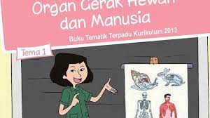 Kunci jawaban tematik kelas 5 tema 1 organ gerak hewan dan manusia subtema 3 lingkungan dan manfaatnya pembelajaran 6 halaman 180, 181, 182, 184, 185, 186, 187. Jawaban Buku Tema 1 Kelas 5 Halaman 180 181 182 Macam Macam Kelainan Pada Tulang Tribun Padang