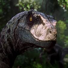 The male and female look kinda odd when next to eachother the patterns are not very similar. Also the jp3 raptors have round pupils while the rest have slit ones