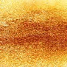 Fox Fur Beautiful Texture Of Fox Fur Sponsored Fur Fox Beautiful Fox Texture Ad Fox Fur Vintage Illustration Beautiful Textures