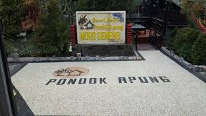 Check spelling or type a new query. Rumah Makan Pondok Apung Termurah Dan Terlengkap Di Banyuwangi
