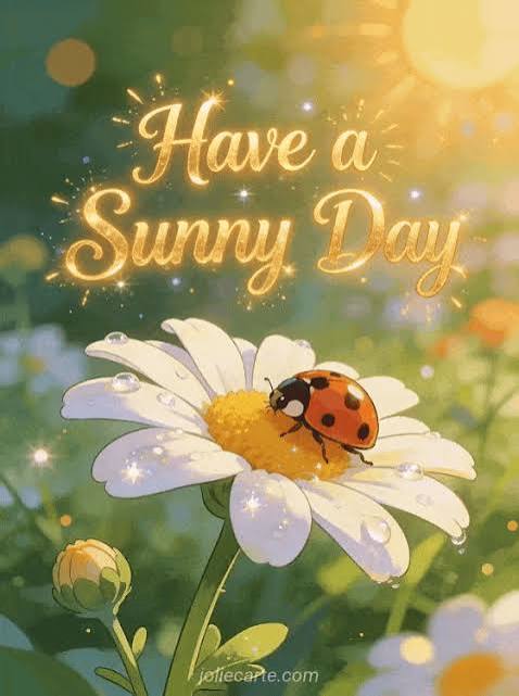 🌞 Have a Sunny Day - Free image - JolieCarte