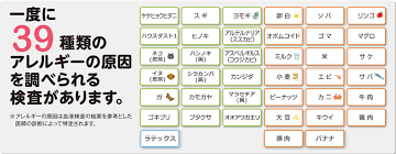 診療のご案内：花粉症、舌下免疫療法 | とみお岩﨑クリニック