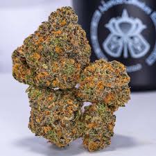 Rainbow Sherbet (3.5g Flower) | Advanced Cultivators