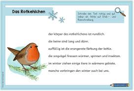 Winterliche Abschreibkarten Heute Gibt Es 10 Abschreibkarten Mit Kleinen Wintertexten Die Immer Aus Sechs Recht Kurzen S Ideenreise Abschreibtexte Grundschule