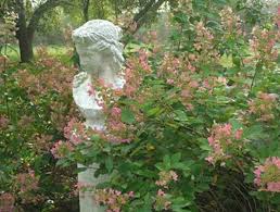 Peter Bevacqua Garden Design Garden Design Garden Garden Sculpture