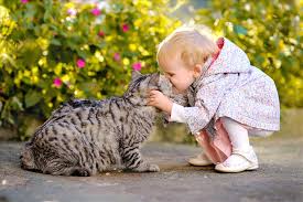 Check spelling or type a new query. Quiz Can We Guess What Your Ideal Pet Is Who Am I Quizzes Quizzes