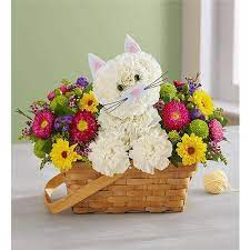 Is a floral and foods gift retailer and distribution company in the united states. Flowers Gifts Flowerama Appleton Local Appleton Wi Delivery