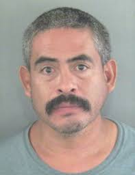 Wildwood man arrested after investigation reveals evidence of chicken  fighting