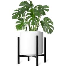 Maybe you would like to learn more about one of these? Decorx Plant Stand Mid Century Modern Tall Metal Pot Stand Indoor Plant Pot Not Included Flower Potted Plant Holder Plants Display Rack Fits Up To 12 Inch Planter Walmart Com Walmart Com