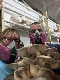 From Farm Animals to Mushrooms for This Couple