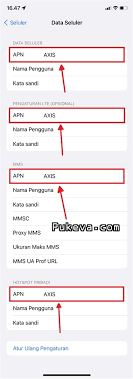 Cara Setting APN Personal Hotspot AXIS Di IPhone Dan IPad