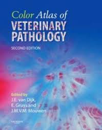 Color Atlas Of Veterinary Pathology 2nd Edition Pdf Free Download Pathology Veterinary Veterinary Studies