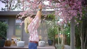 Do Your Thing Embrace Your Unique Style And Express Yourself With Brands From Tj Maxx Tj Maxx Expressions Tv Commercials