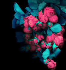 Hd wallpapers and background images. Click The Link Below To Download The Zip File Honor View 20 6092 Hd Wallpaper Backgrounds Download