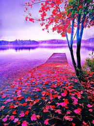World Of Colors Colors Are More Than Beautiful They Are A Sign Of What S To Come Pretty Soon You Will Nature Wallpaper Landscape Photography Nature Pictures
