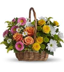Maybe you would like to learn more about one of these? Le Roy S Flowers Gifts 31 Photos 14 Reviews Florists 409 W County Line Rd Hatboro Pa United States Phone Number Yelp