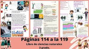 Descargar en pdf el texto del estudiante para ciencias naturales de 5 año de formacion basica. Paginas 114 A La 119 Libro De Ciencias Naturales 3 Grado Youtube