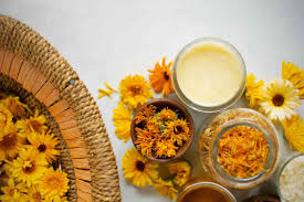 Feb 19, 2021 · calendula is believed to be native to egypt and has almost worldwide distribution. How To Harvest And Dry Calendula