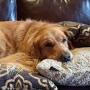Profile Picture of Candy Keefer (candyk0338) - Profile - Pinterest (@pinterest.com) on Google