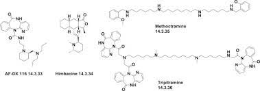Ipratropium An Overview Sciencedirect Topics