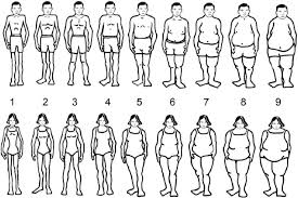Check spelling or type a new query. Difference Between Male And Female Body Image Statistics