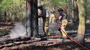 Grote natuurbrand in bos Helden onder controle
