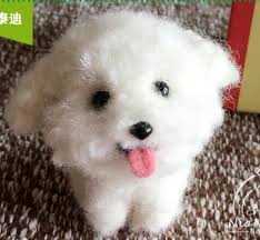 Teddy Kopek Yun Igne Kece Igne Seti Yun Kece Dekorasyon Zanaat Needlecraft Diy El Yapimi Sale Ww23 Bolumdukkan Co