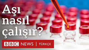 Koca, mrna aşısı için de görüşmelerin sürdüğünü kaydetti. Asi Nedir Nasil Calisir Asi Belgeseli 2 Bolum Youtube
